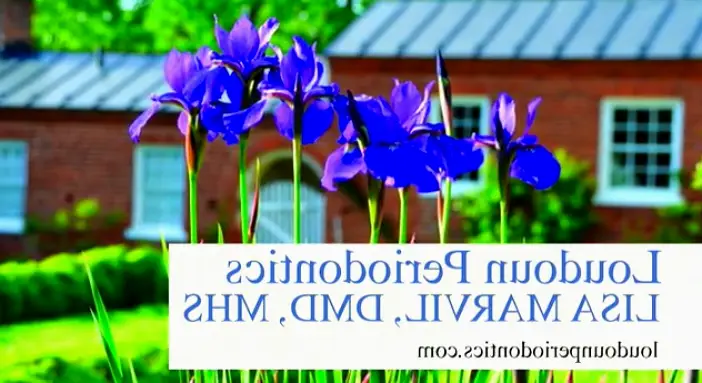 Purcellville Loudoun Periodontics