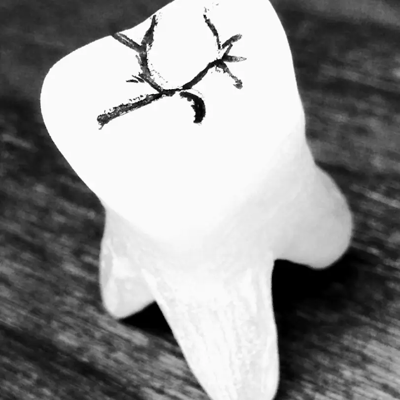 Hamilton Paul Sekulic DDS