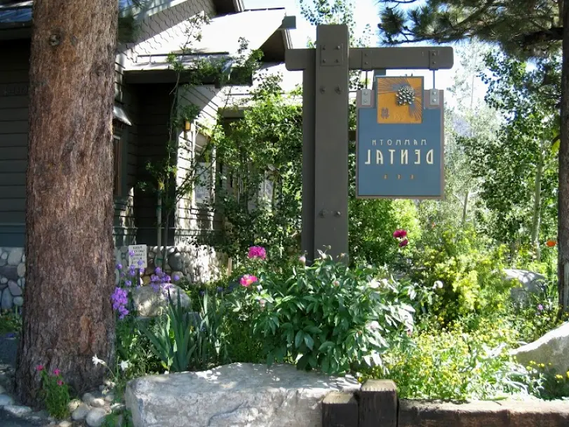 Mammoth Lakes Mammoth Dental
