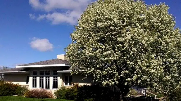  Prescott Family Dental