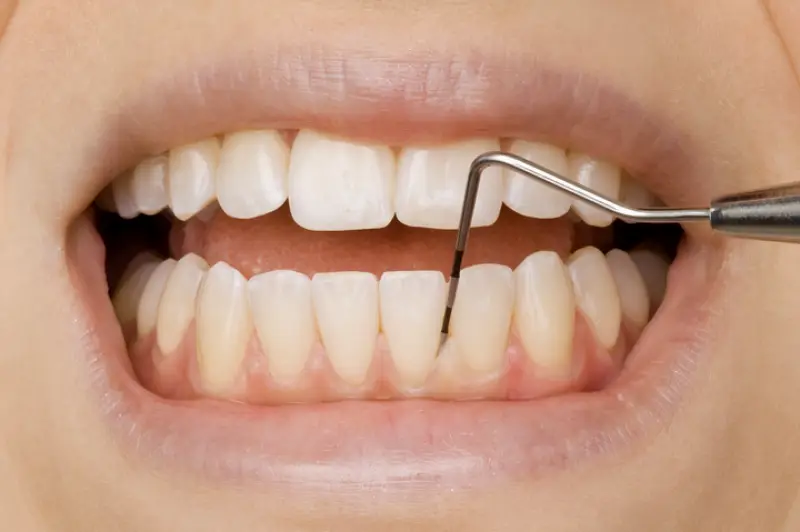 Waltham Martin Urban, DDS
