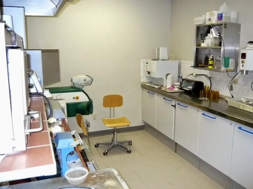 Merrillville Dental Professional Labs Inc