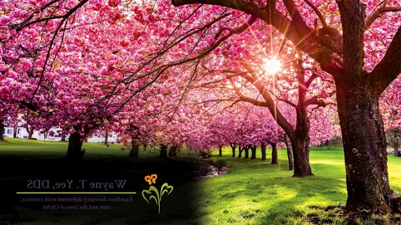 Modesto Wayne T. Yee, DDS