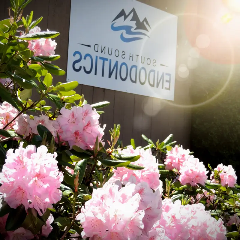 University Place South Sound Endodontics