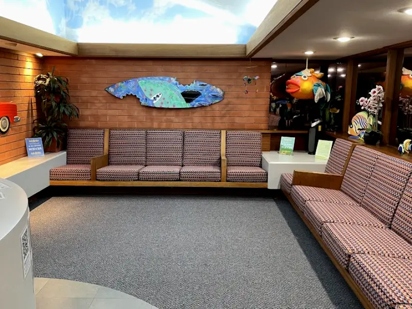 Santa Cruz Children's Dentistry and Orthodontics