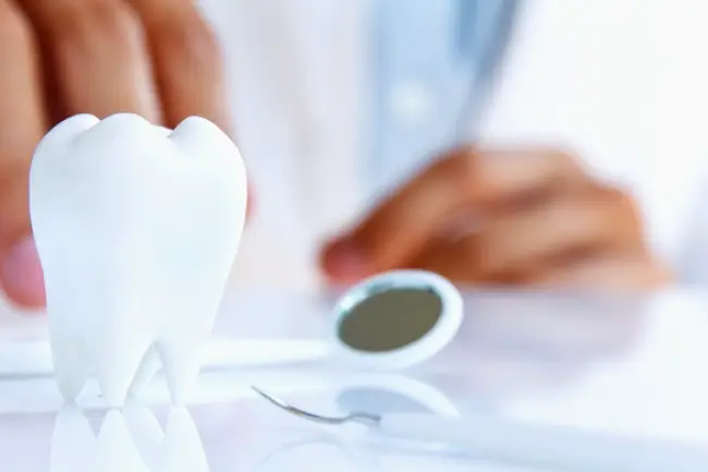 Tallahassee Smileline Dental