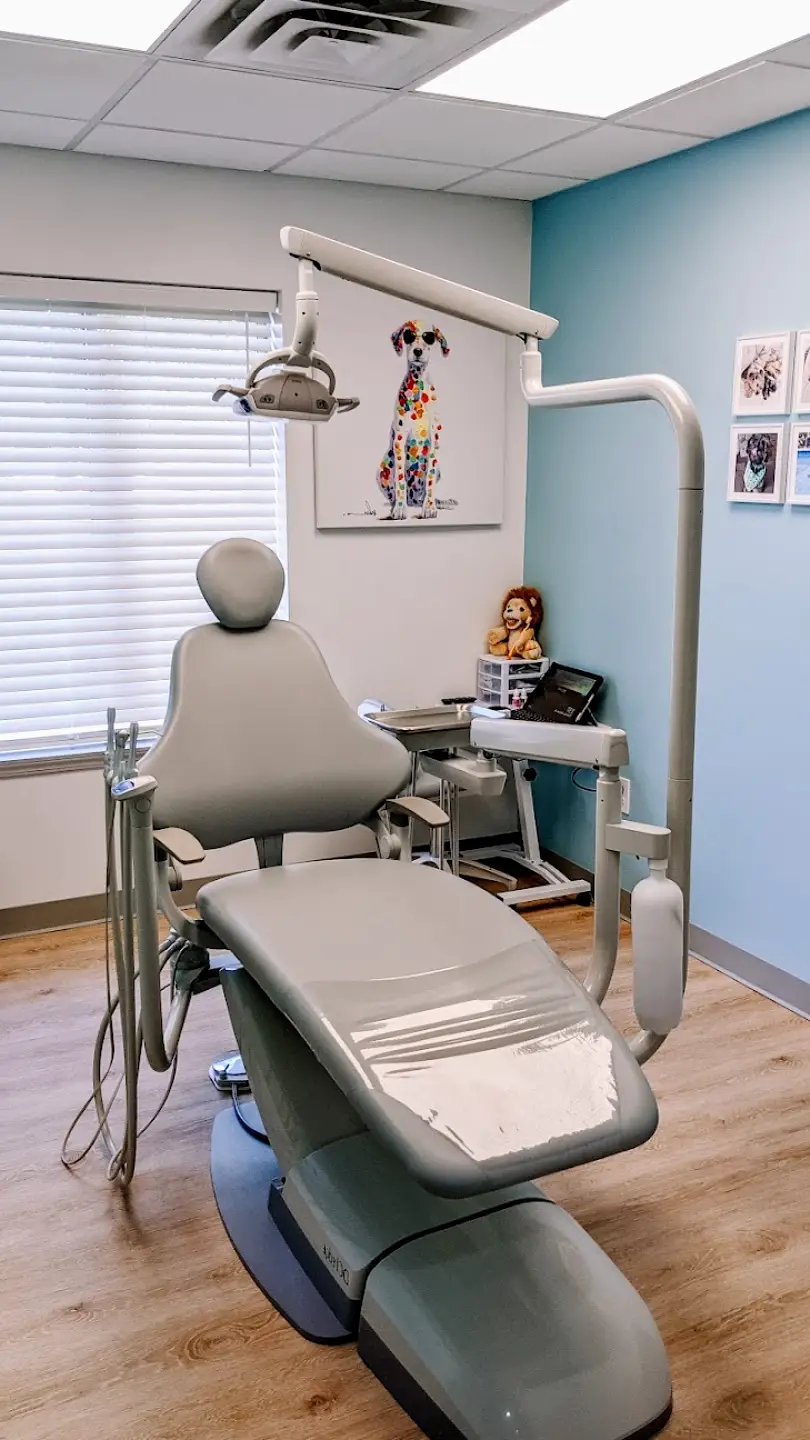 Rochester A Dentist 4 Kids, PLLC