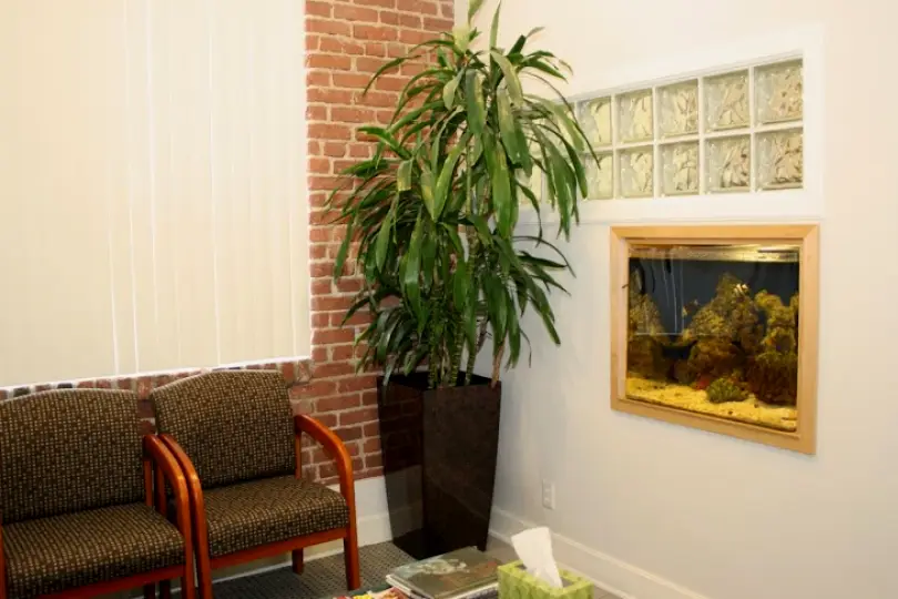 Sierra Madre Custom Smile Dentistry