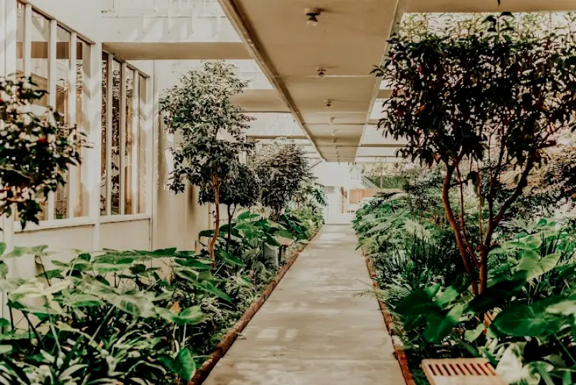 Long Beach Dental Health