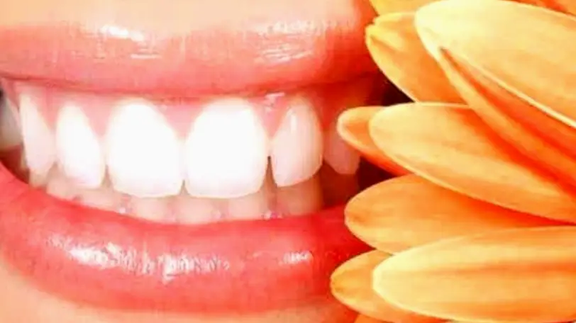 Hauppauge Family Dental Care: Eugene Avrash DDS