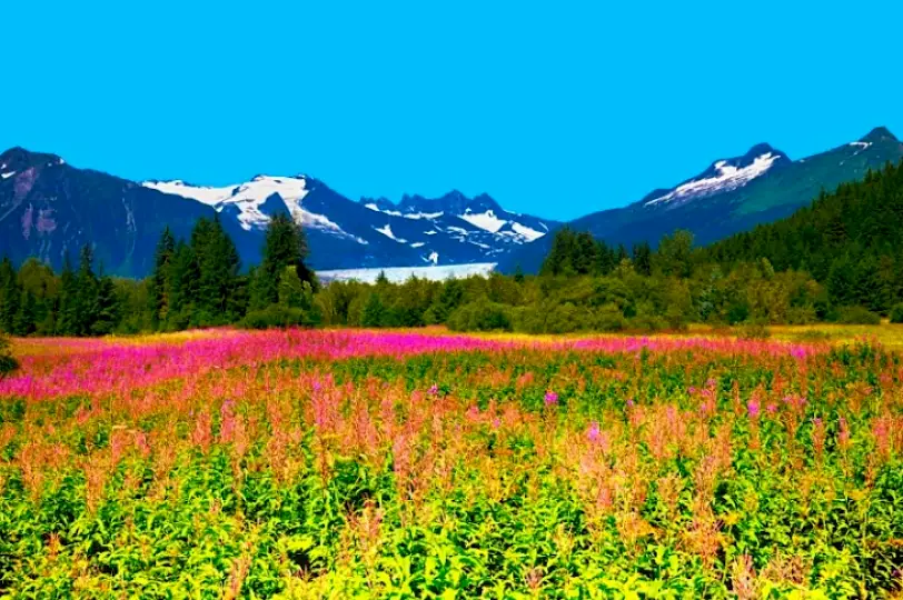 Downtown Juneau Jared Lee, DDS