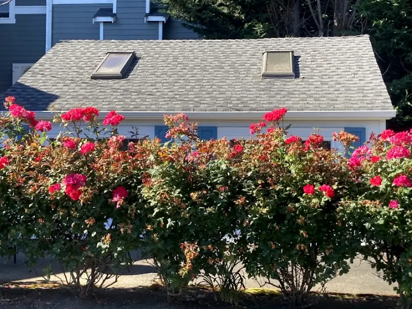 Redmond Katie Ostler DMD Family & Cosmetic Dentistry