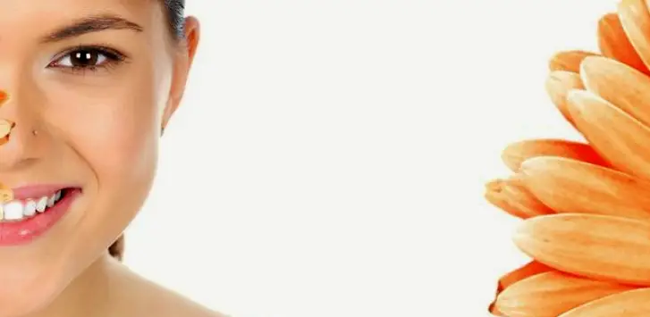 Brookfield Laura M. Socias, D.D.S., LLC