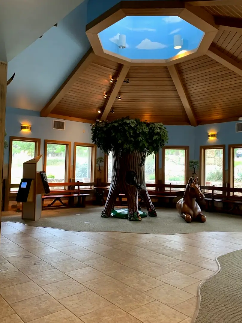 Boerne Little Smiles Dentistry
