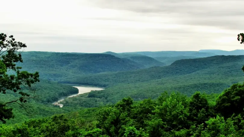  Boston Mountain Rural Health Center, Inc - Harrison