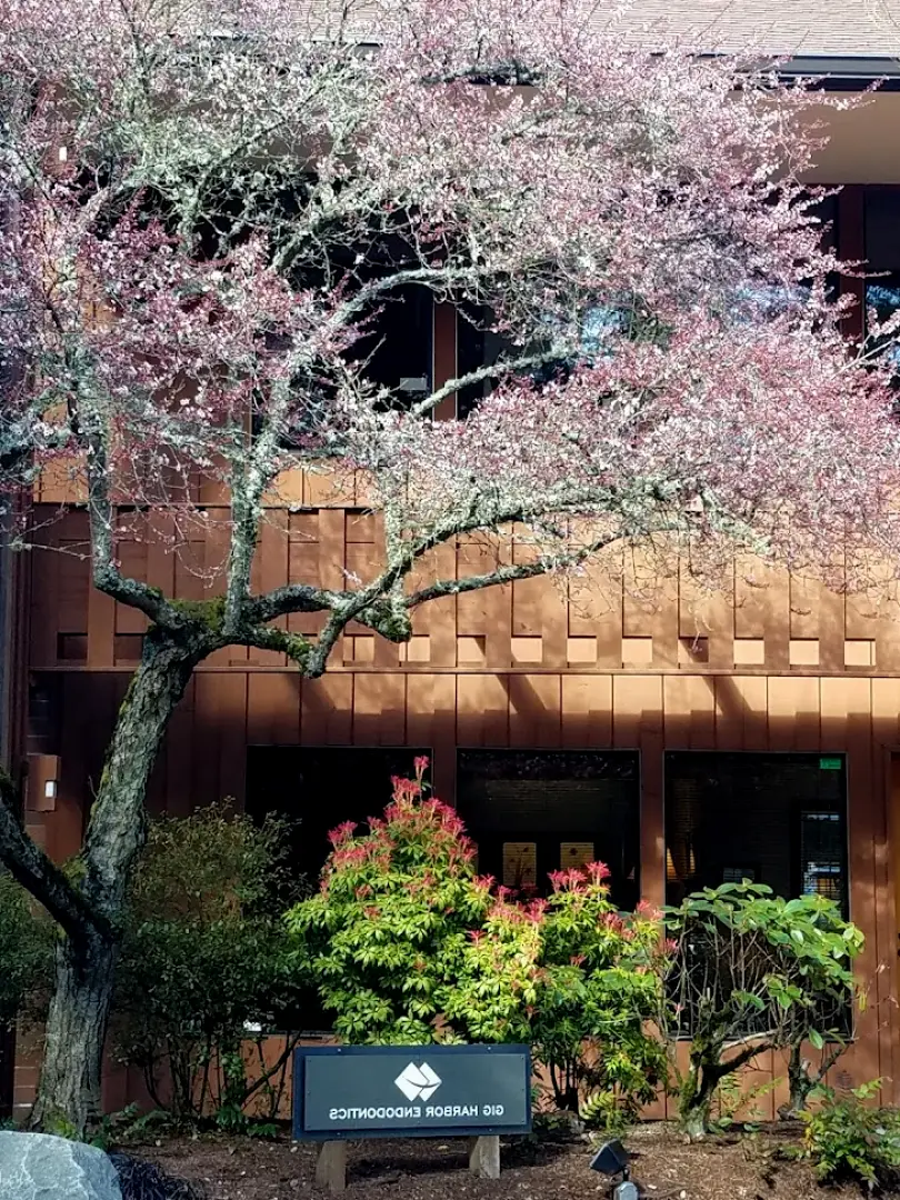  Gig Harbor Arash Niazi DDS