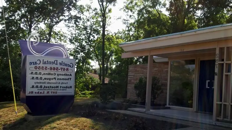 Mundelein Dr Anthony Collins DDS