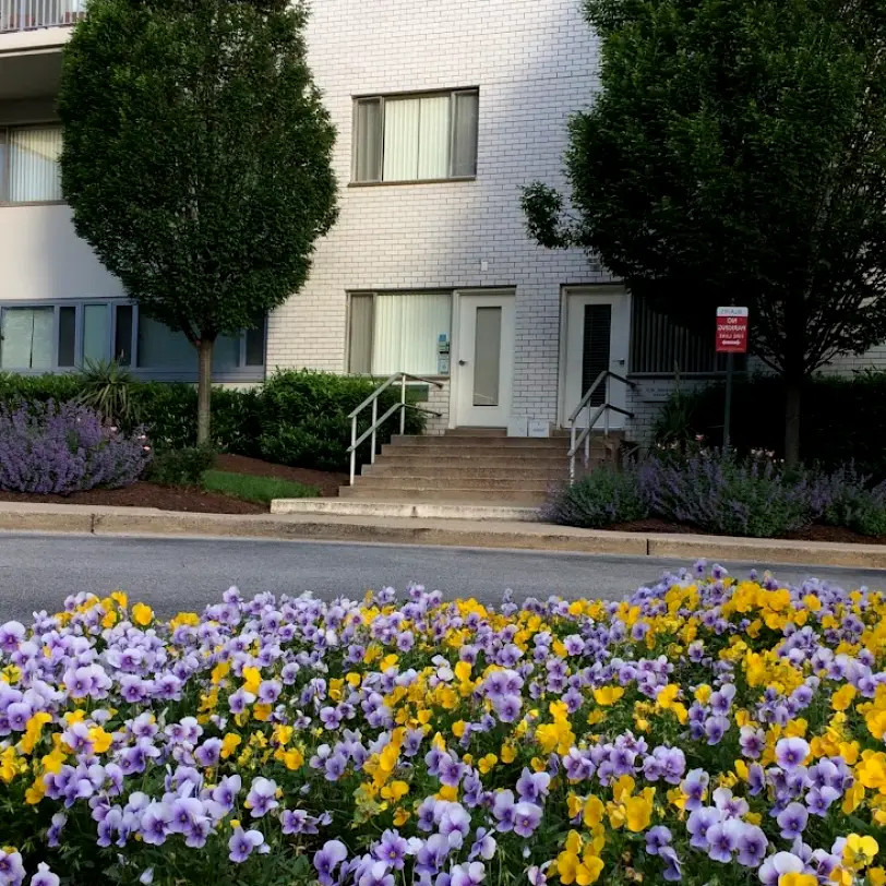 Silver Spring We Care 4U Dental Center