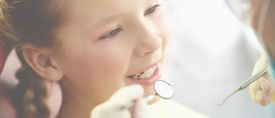 Dresher Doc Bresler's Cavity Busters