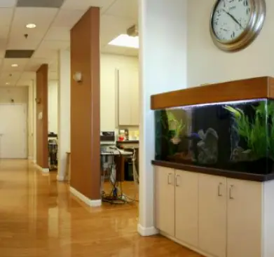 San Jose Accu Dental & Orthodontics