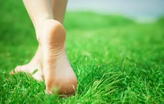 Oceana Foot and Ankle Clinic of the Virginias