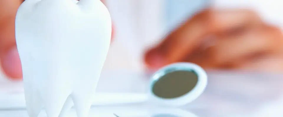 Ciudad Acuña Clínica Dental Dr. Miguel A. Torres Portales DDS