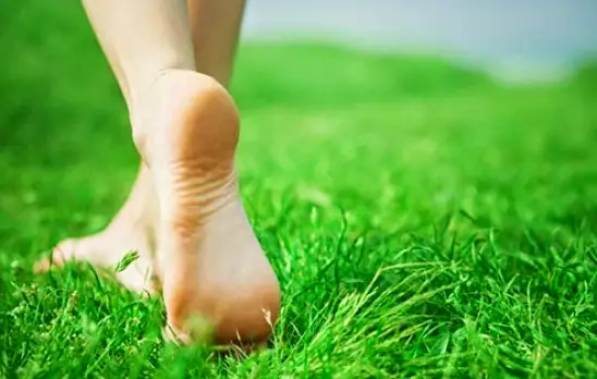 Blacksburg Foot and Ankle Clinic of the Virginias