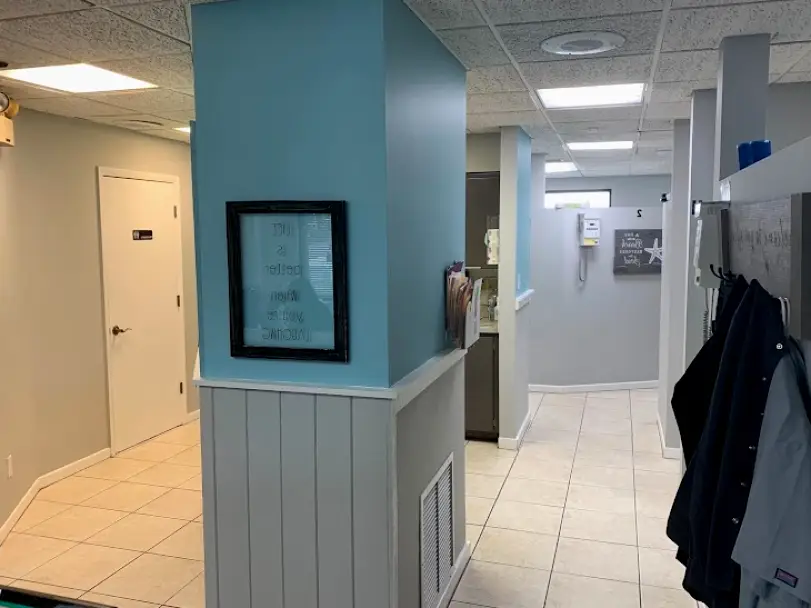 Tarpon Springs Palm Harbor Dental Care