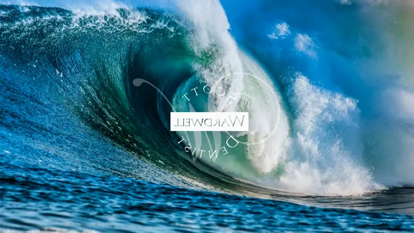 Honolulu Scott Wardwell, DDS