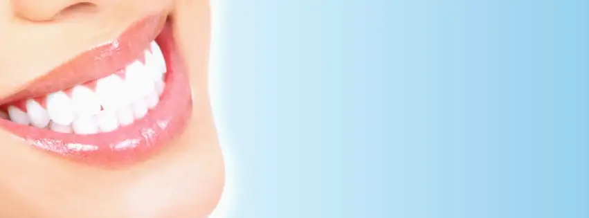 Lodi Family Dental Care: Stave Mitchell L DDS