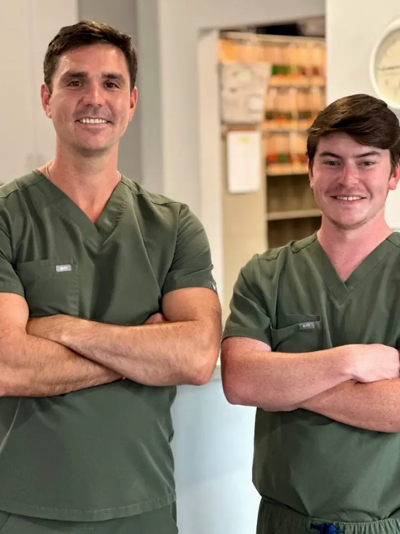 Olive Branch Dental Care