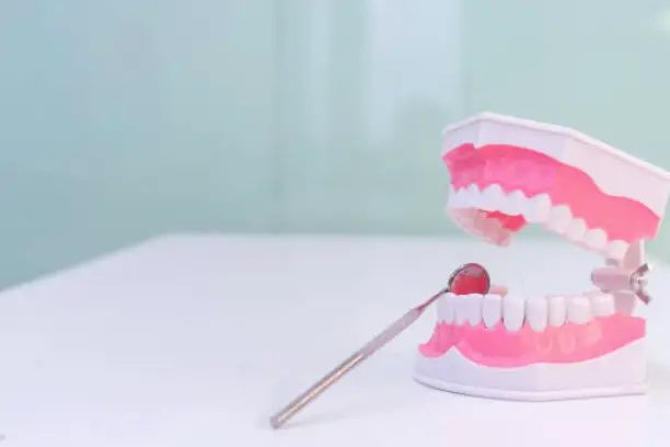 Traverse City Denture Care Clinic PC