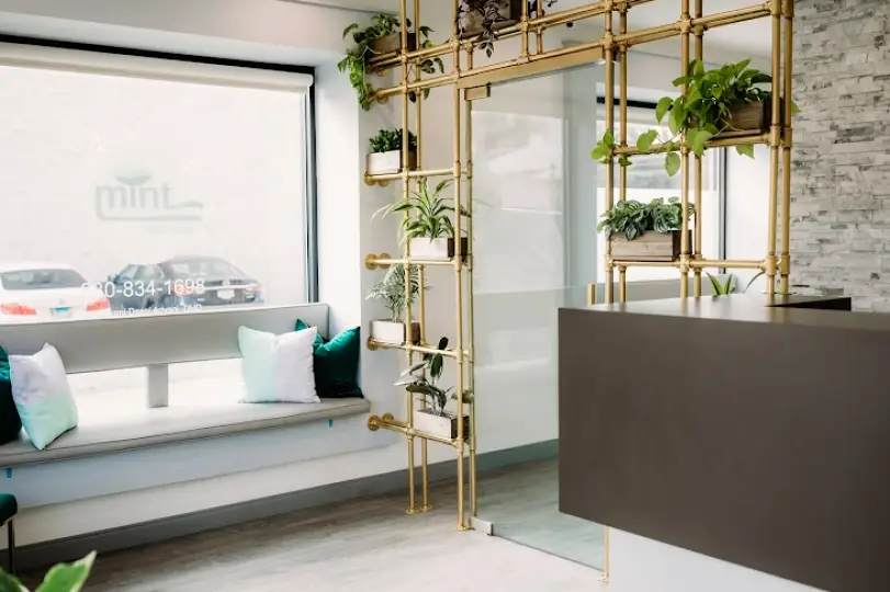  Elmhurst Mint Smile Studio