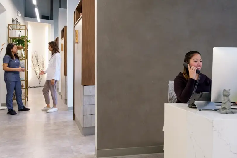 SoMa Zen Dental Studio - San Francisco