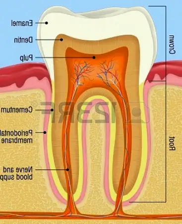 Londonderry Modern Endodontics