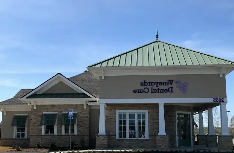 Braselton Vineyards Dental Care: Ilisa Stern, DMD