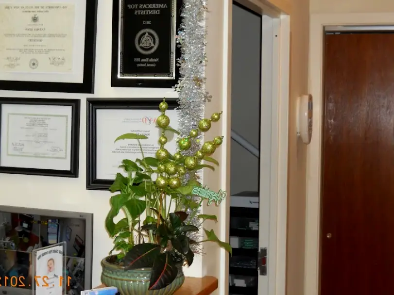 Islip Natalia Elson DDS PC