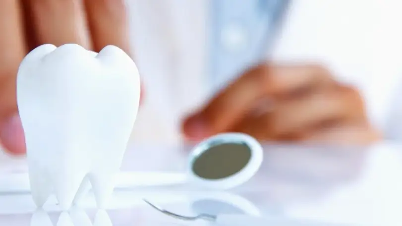 Hartland Gentle Dental, P.C.