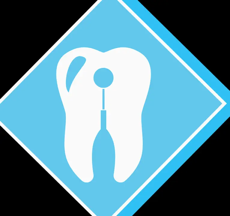  Fort Myers Ace Dental Inc