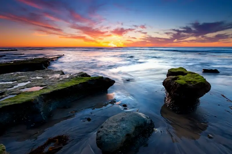  San Diego Torrey Pines Micro Endodontics - Keven S Herold, DDS