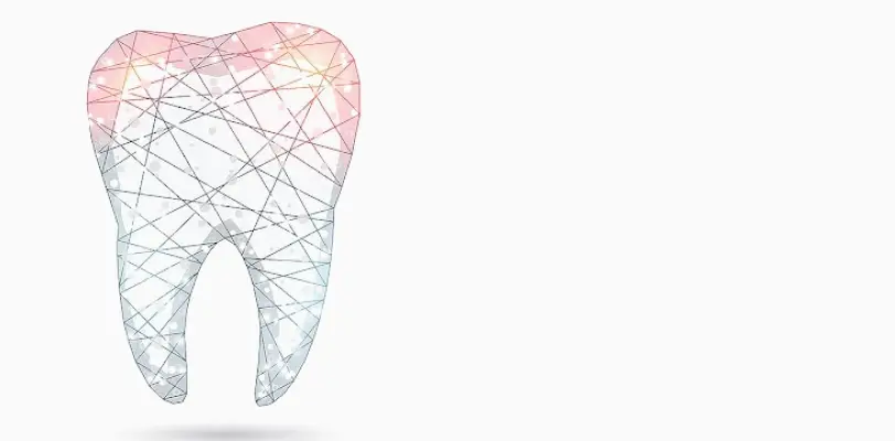 Cupertino Joseph S. Kim, DDS [Smile Plant Dental Clinic]