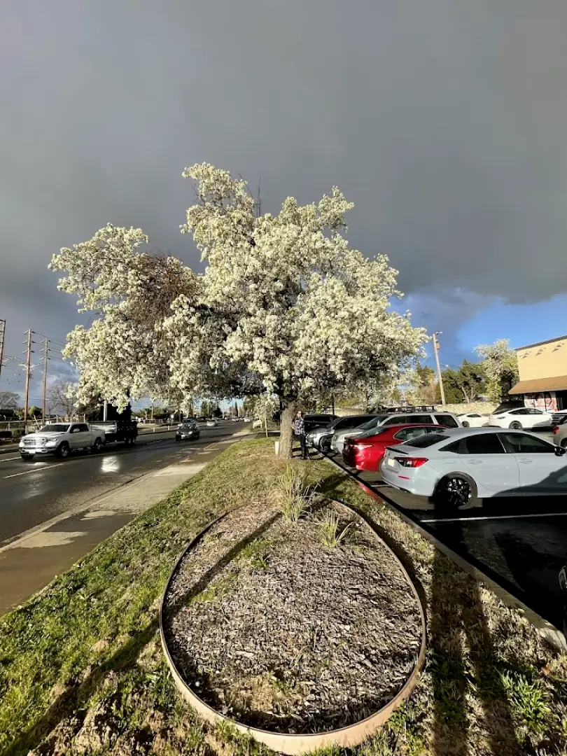 Ceres Golden Valley Health Centers—Medical Clinic