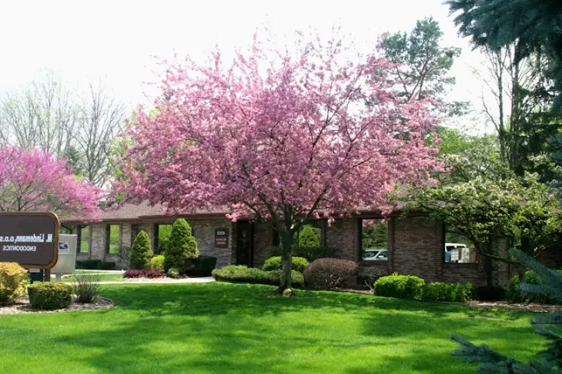 Flint Lindemann Root Canal Specialists