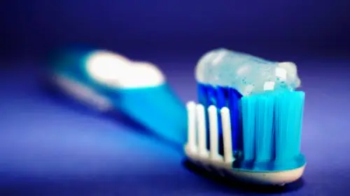 Macon Oglethorpe Dental Center
