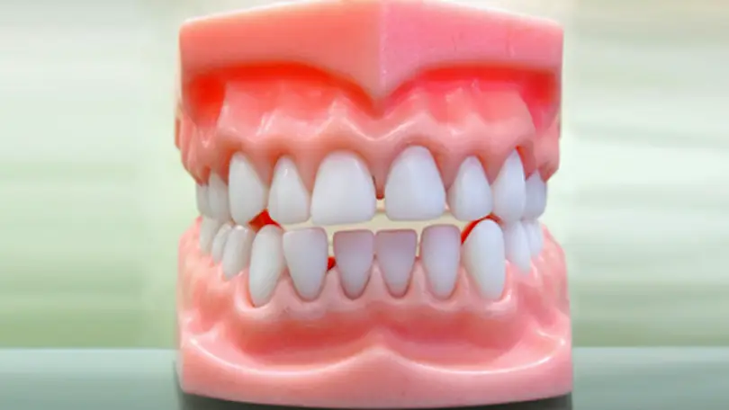 Pittsfield Berkshire Denture Repair