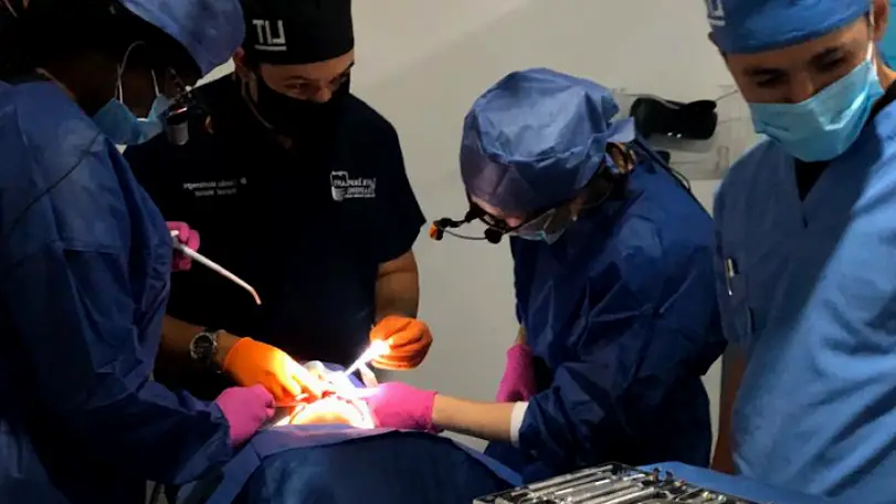Kissimmee Live Implant Training