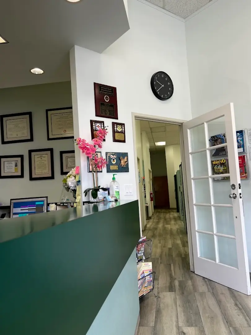  Orange D&T Dentistry