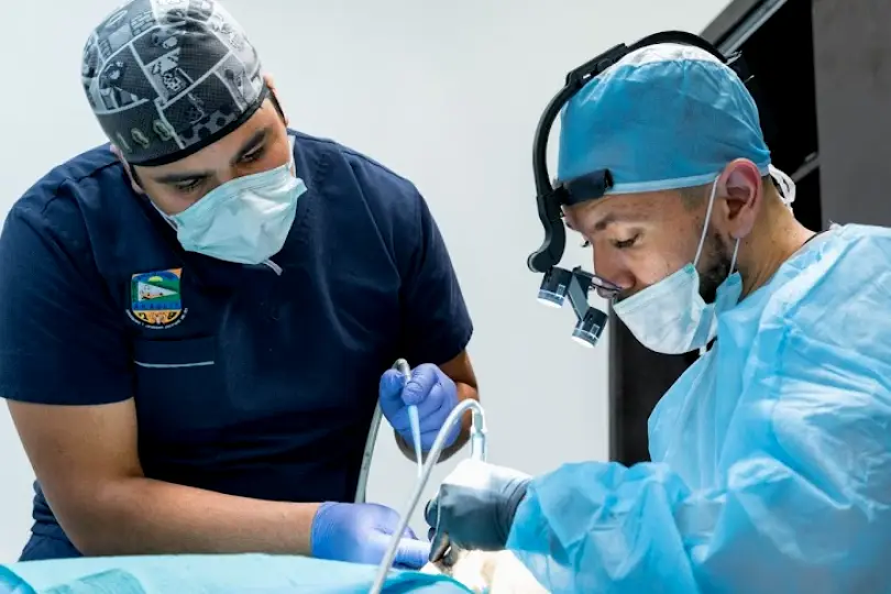 Dental Brush Tijuana
