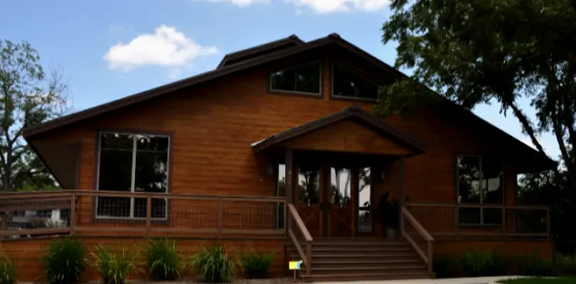 New Braunfels Children's Dental Ark