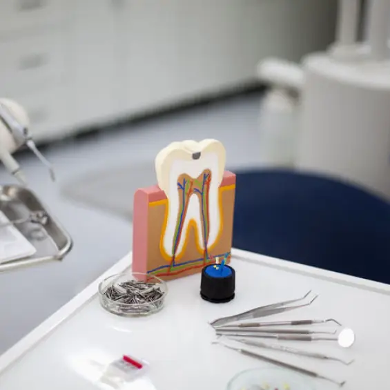 Chico Family Dentistry, Navtej S. Tatla, DDS
